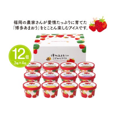博多あまおう こだわりアイス【AH-ABF】(行橋市)