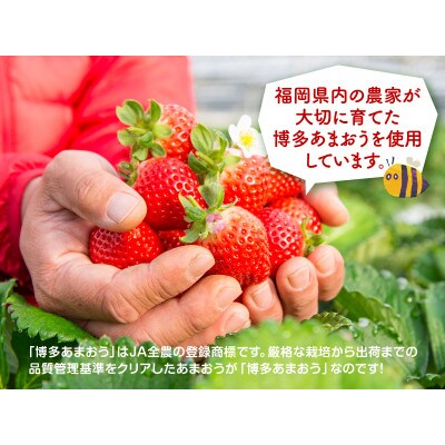 博多あまおう こだわりアイス【AH-ABF】(行橋市)