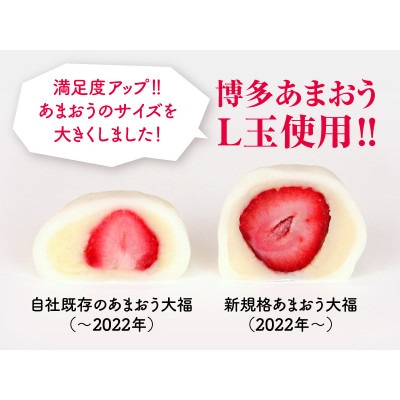 博多あまおう　ごろっと苺大福(行橋市)