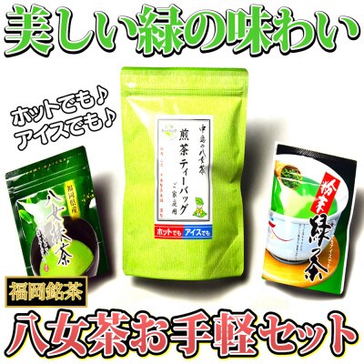 福岡銘茶八女茶 急須要らずのお手軽セット(便利なチャック付)(行橋市)