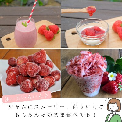 うるう農園の【特別栽培】冷凍あまおう800g(行橋市)