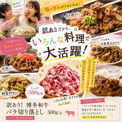 訳あり!この味プレミアム!【A4～A5】博多和牛バラ切り落とし　1kg(500g×2p)(行橋市)
