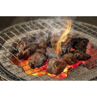【毎月定期便】はかた地どり炭火焼セット500g(100g×5p)(行橋市)全3回