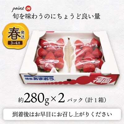 博多あまおう2パック(春)『2024年3～4月発送』(行橋市)