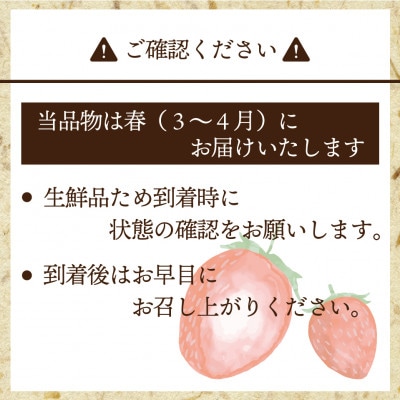 博多あまおう2パック(春)『2024年3～4月発送』(行橋市)