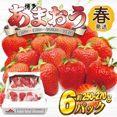 【2027年2月上旬～4月下旬発送予定】博多あまおう(春) 約250g～270g×6パック(行橋市)