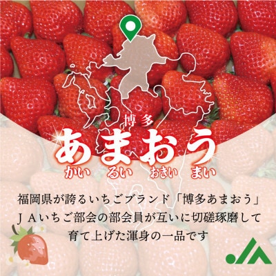 冷凍「博多あまおう」800g×2袋 計1.6kg(行橋市)