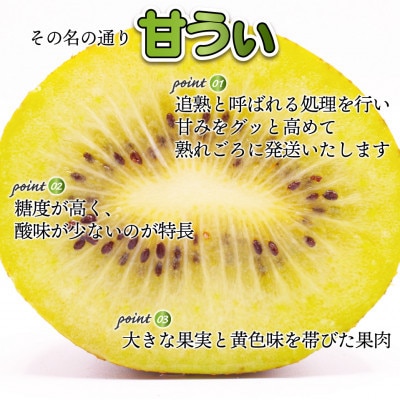【2026年11月上旬～11月下旬発送予定】博多甘うぃ(キウイフルーツ) 約3.6kg (行橋市)