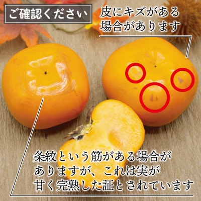 【2026年10月下旬～11月下旬発送予定】ブランド柿「秋王」約3.5kg (行橋市)