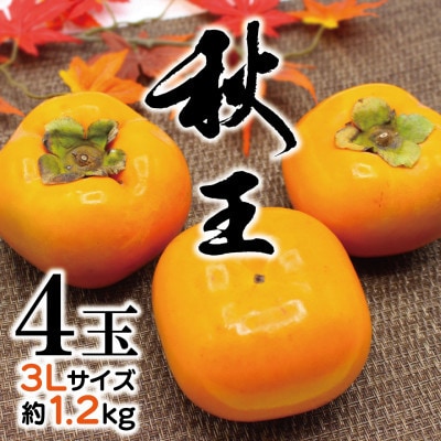 【2026年10月下旬～11月下旬発送予定】福岡県ブランド柿「秋王」約1.2kg 3L4玉(行橋市)