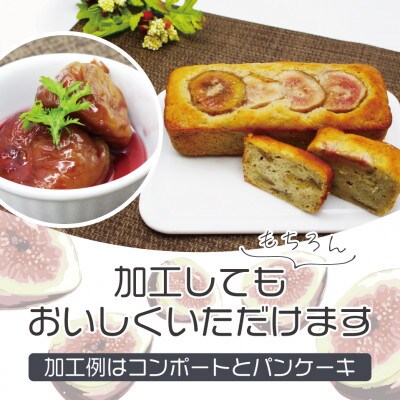 訳あり冷凍いちじく「とよみつひめ」500g×4袋(2kg) (行橋市)