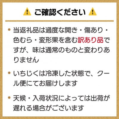 訳あり冷凍いちじく「とよみつひめ」500g×6袋(3kg) (行橋市)