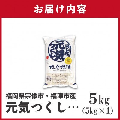 JAよりお届け!福岡県ブランド米「元気つくし」5kg (行橋市)
