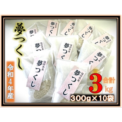 福岡県産ブランド米!!【令和4年産】夢つくし 3kg (300g×10袋)(行橋市)