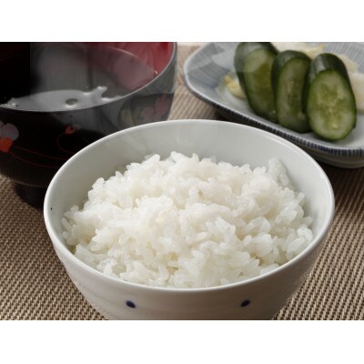福岡県産ブランド米!!【令和4年産】夢つくし 3kg (300g×10袋)(行橋市)