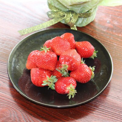 いちごの王様!【あまおうグランデサイズ】3玉～15玉(6パック)1月から順次発送(行橋市)
