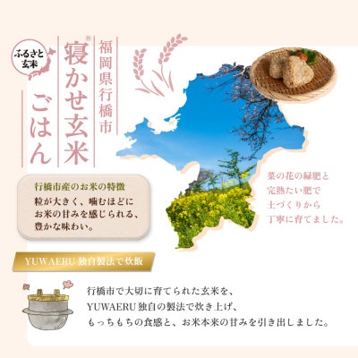 【ふるさと玄米】寝かせ玄米ごはんパック 福岡県行橋市産【160g×24食セット】(行橋市)