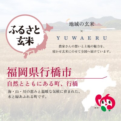 【ふるさと玄米】寝かせ玄米ごはんパック 福岡県行橋市産【160g×24食セット】(行橋市)