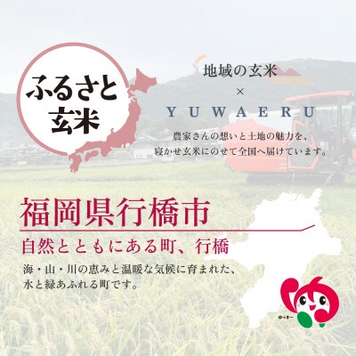 【ふるさと玄米】寝かせ玄米ごはんパック 福岡県行橋市産【160g×24食セット】(行橋市)