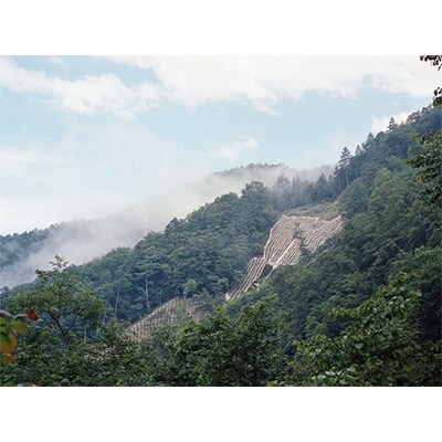 愛犬用国産無添加シカ肉ジャーキー50g×3パック