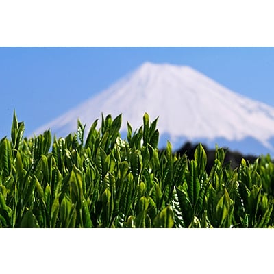 深蒸し煎茶 150g入×2袋セット チャック付袋 ギフトお茶葉 国産緑茶【ふじやま茶】