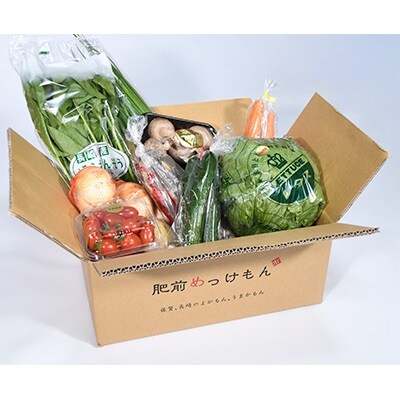 諫早産野菜の詰め合わせ(8~9品目程度)