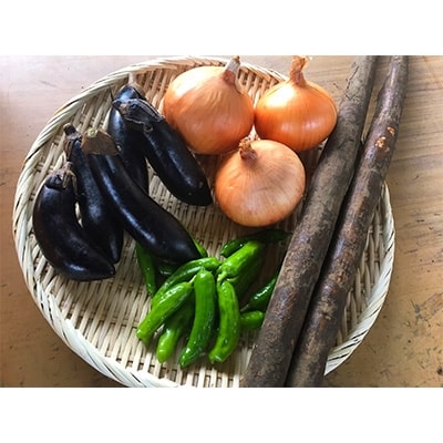 石坂さん家の季節の野菜セット