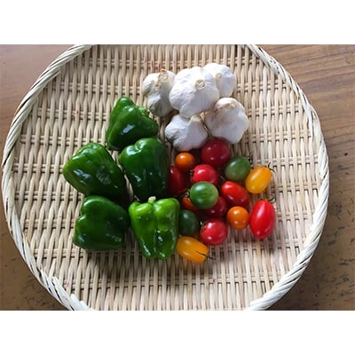 石坂さん家の季節の野菜セット