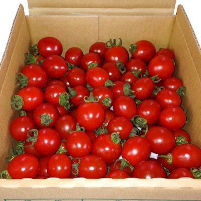 ミニトマト「ころころ」1kg