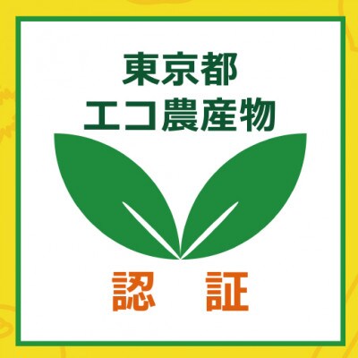 【東村山産フェイジョア使用】東村山アイスクリーム　トロピカル6個セット