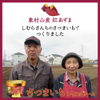東村山アイスクリーム　東村山愛す8個セット
