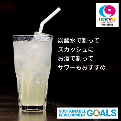 東村山SDGs多摩湖梨シロップ　12本セット
