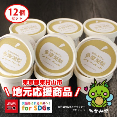 SDGs東村山多摩湖梨シャーベット