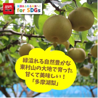 SDGs東村山多摩湖梨シャーベット
