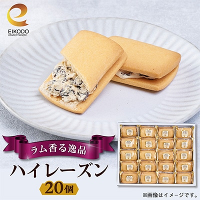 東京都東村山市　栄光堂製菓　ハイレーズン　20個入