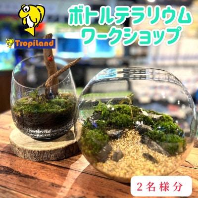 ボトルテラリウムワークショップ　2名様分