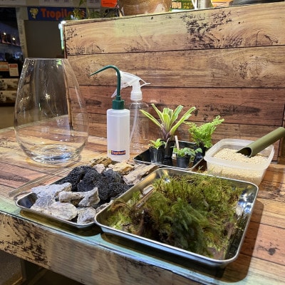 ボトルテラリウムワークショップ　2名様分