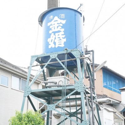 一日市長体験(酒好き集まれ!「志村けん」銅像前で鏡開き!お土産あり)
