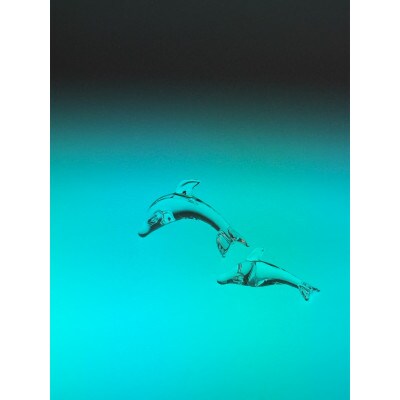 ガラスのイルカ 親子セット