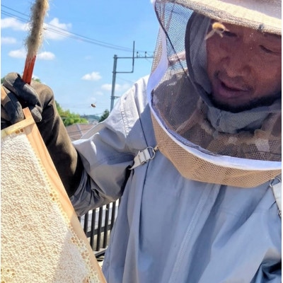 東村山産純粋はちみつ　330g×2