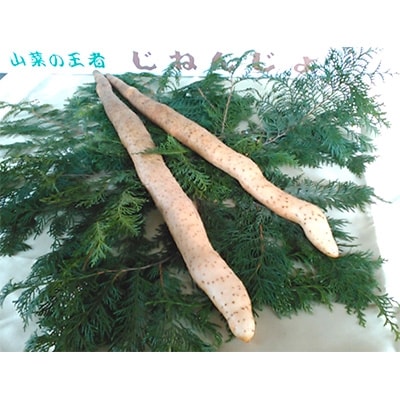 仙人の里・久米　自然薯　約1kg
