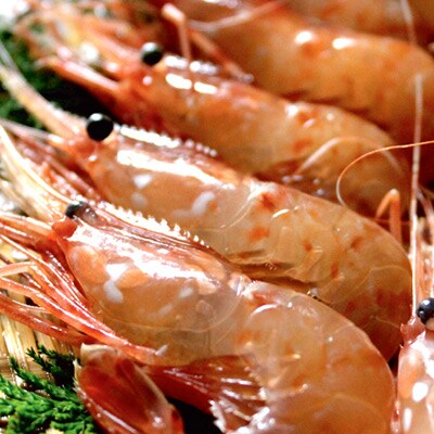 噴火湾産、冷凍ぼたんえび400g・冷凍ほたて貝柱400gセット