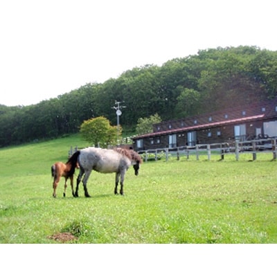 鶴居どさんこ牧場　1泊(2食付) 1名様 宿泊　大自然で 馬と過ごす 北海道鶴居村