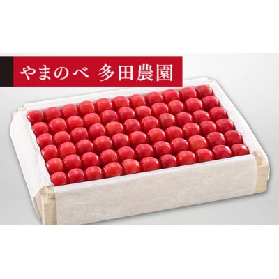 《先行受付》2025年 山形県産 特選佐藤錦 桐箱詰約1100g