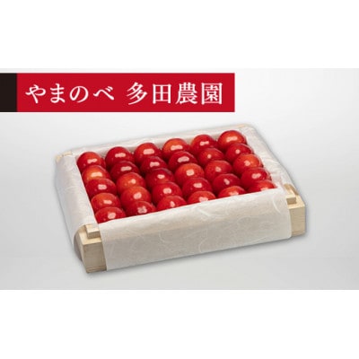 《先行受付》2025年 山形県産 特選紅秀峰 桐箱詰約300g