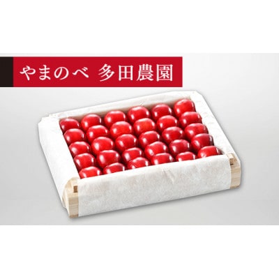 《先行受付》2025年 山形県産 特選「真夏のルビー紅姫」 桐箱詰約300g