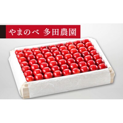 《先行受付》2025年 山形県産 特選「真夏のルビー紅姫」 桐箱詰約1100g