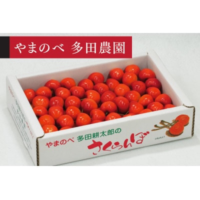 《先行受付》2026年 山形県産 紅秀峰 バラ詰 700g
