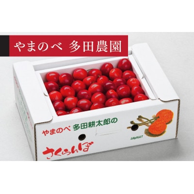 《先行受付》2026年 山形県産 山形美人 バラ詰(パック)500g