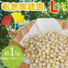 山形県山辺町産 むき実銀杏 (ぎんなん)【L】 約1kg(100g&times;10パック)